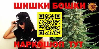 шишки Заводоуковск