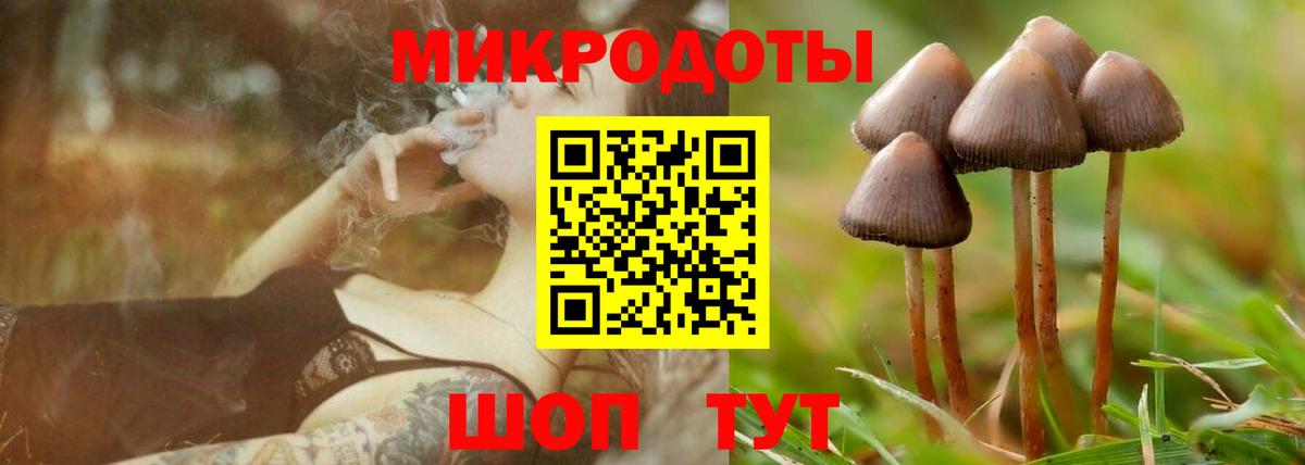 Галлюциногенные грибы Magic Shrooms  Псилоцибиновые грибы GOLDEN TEACHER  Вход с VPN  как найти наркотики  Кунгур 